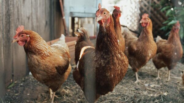    © Photo : Unsplash / William Moreland