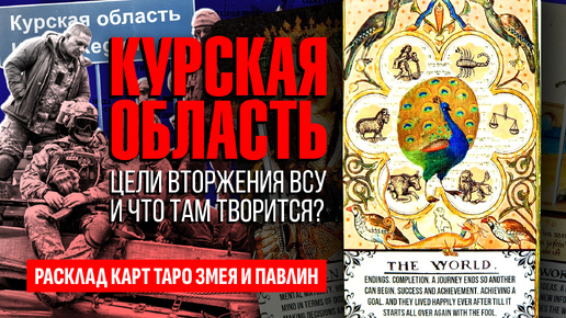 КУРСКАЯ ОБЛАСТЬ, что там происходит? Цели вторжения ВСУ и когда закончатся бои? ТАРО РАСКЛАД.