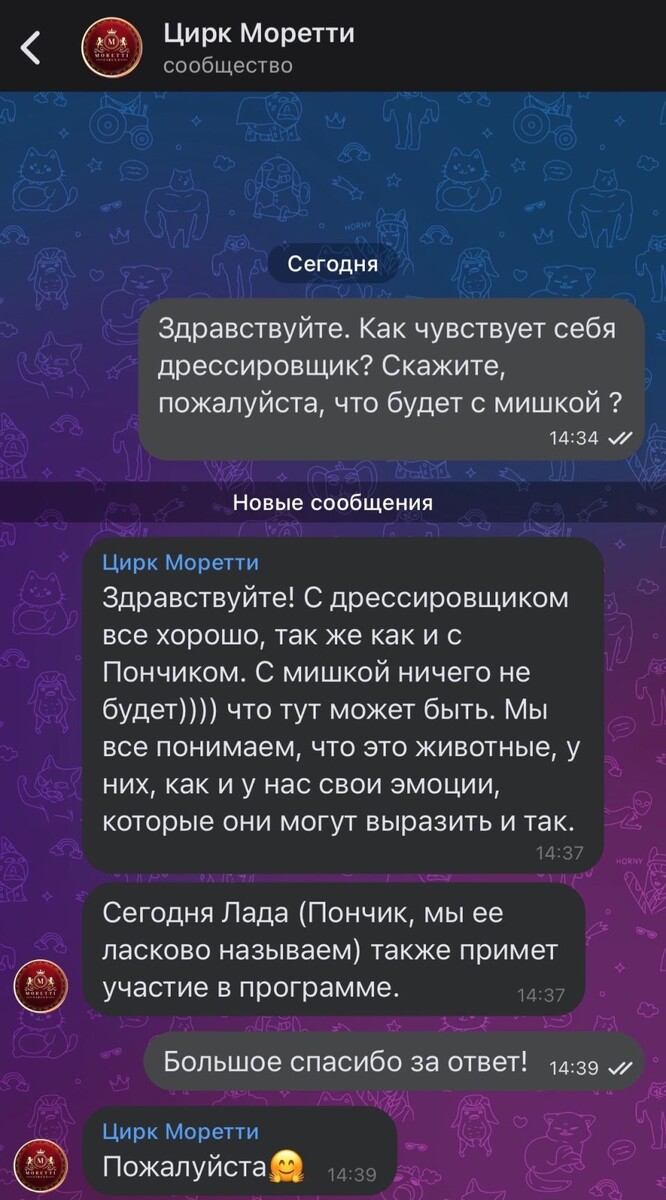    В Бийске медведь напал на дрессировщика. Источник: vk.com/biysk22