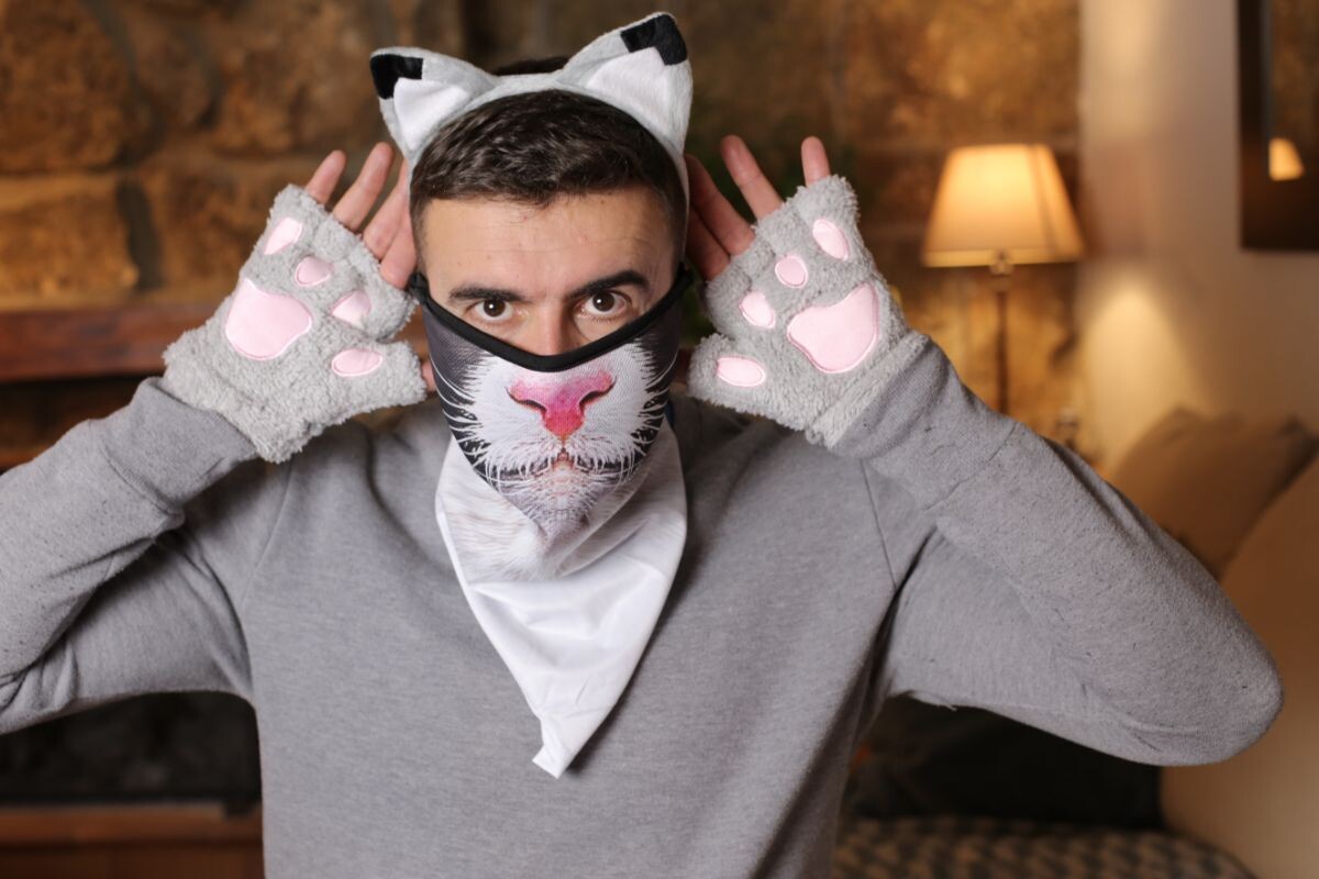 Зоопсихолог для кошек