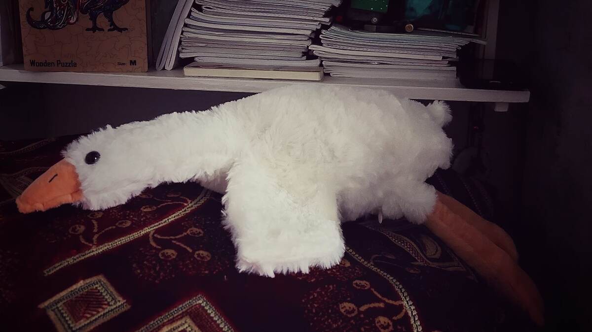 Гусь, выгоревший на рабочем месте