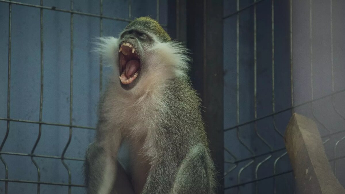     Источник: novostivolgograda.ru