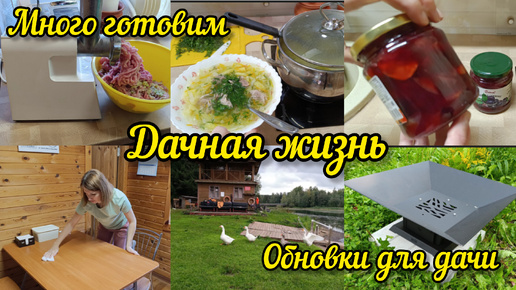 Дачные будни: пол дня на кухне. Обновки для дома и для участка. Прогулка в парке.