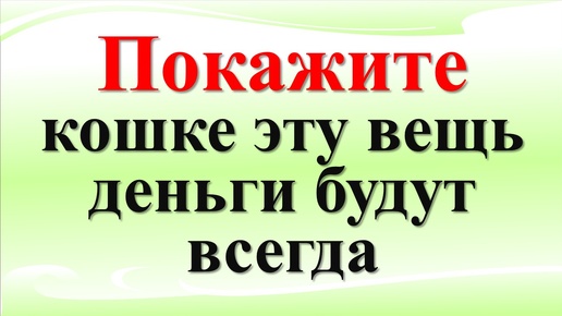 Покажите кошке эту вещь, деньги будут всегда. Как животное может привлечь достаток вернуть зло врагу