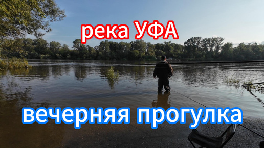 река УФА, природа в черте города, прогулка к переправе. 24.08.24