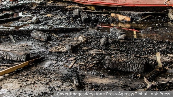     Фото: Cover Images/Keystone Press Agency/Global Look Press   
 Текст: Александра Юдина