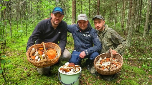 ГРИБНИКИ ОПУСТОШИЛИ ВЕСЬ ЛЕС И БЫЛИ СЧАСТЛИВЫ | НЕМЕРЕНО ГРИБОВ ВОКРУГ НАС | БЛАГОРОДНЫЕ ГРИБЫ 2024