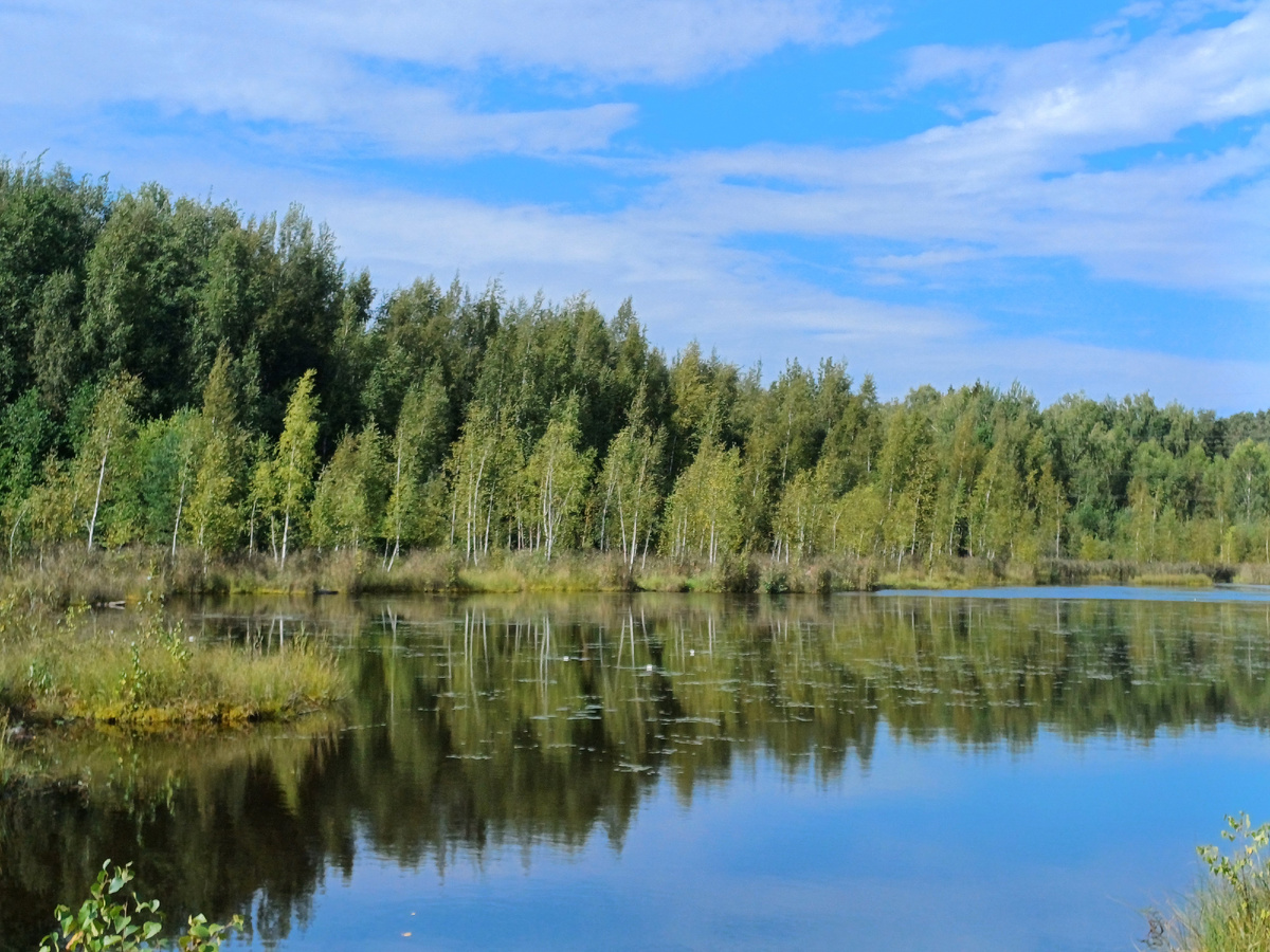 Щепкино болото