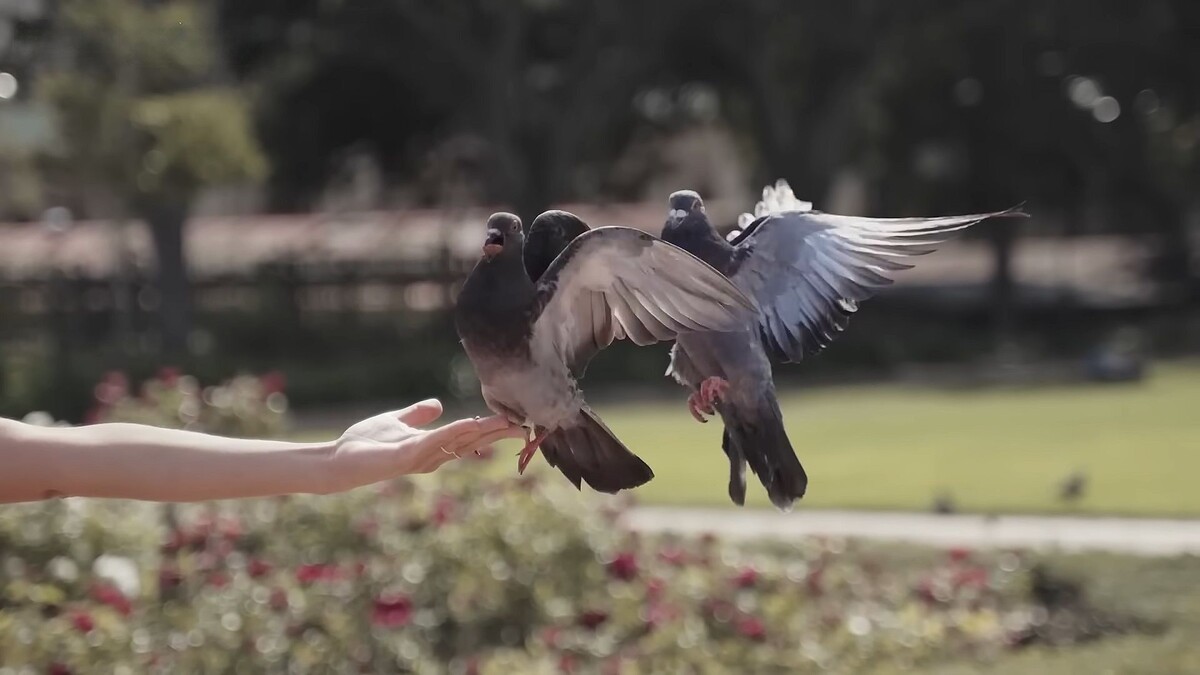 Эй, ты куда это полез?!