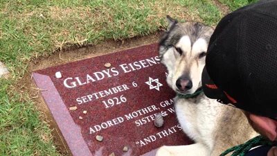 Уили над надгробием 