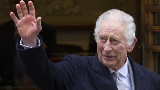    СМИ: в окружении Карла III опасаются, что его плотный график и трудоголизм помешают борьбе с раком Ирина Петрова