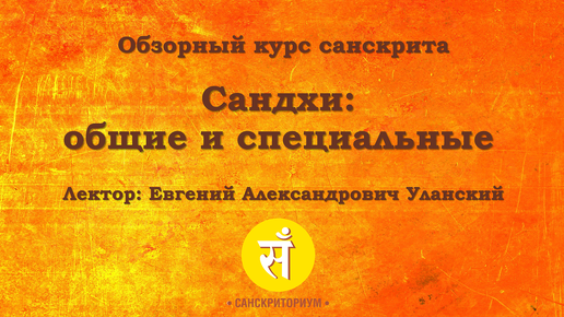 Обзорный курс санскрита. Лекция 11. Сандхи: общие и специальные. Читает Е. А. Уланский