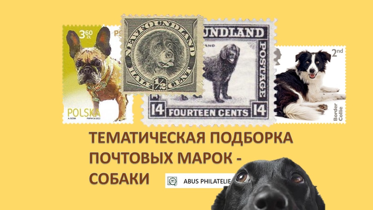 почтовые марки о собаках