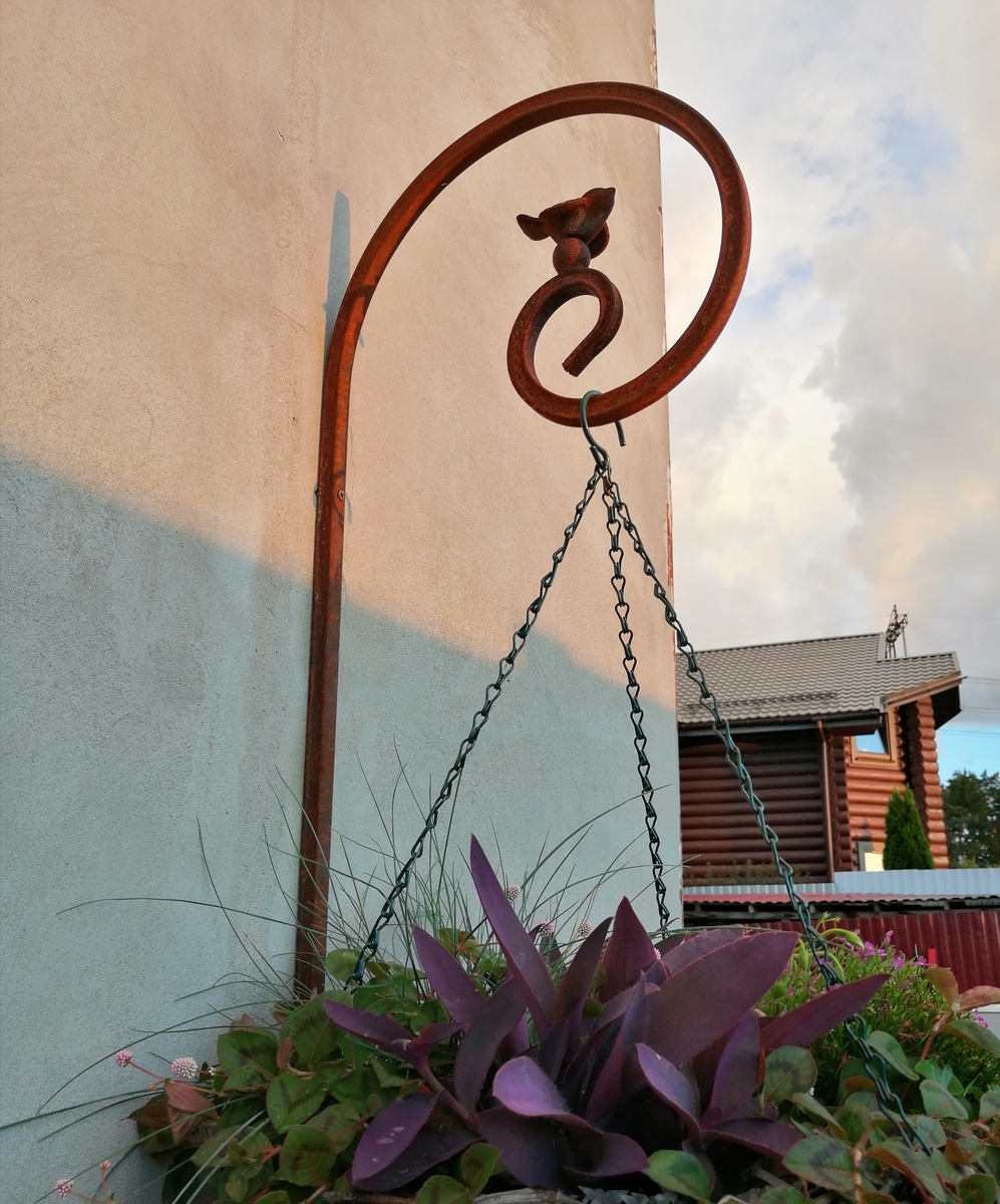 На один из металлических кронштейнов для подвесных кашпо в моём саду как раз посажена птичка. Выглядит просто и изящно. На самом деле, кронштейнов с птичками у меня два, на другом птаха сидит не внутри завитка, а сверху. 