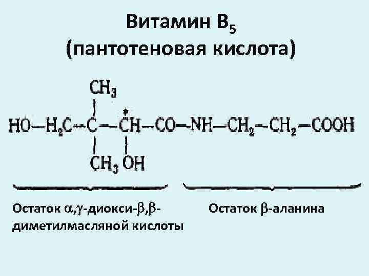 Пантотеновая кислота состоит из в-аланина и пантоевой кислоты. Изображение взято из интернета