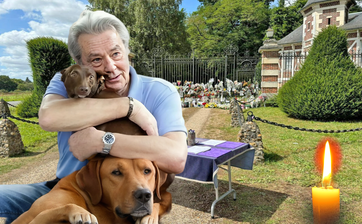 Последнее желание легенды, необычные похороны: Ален Делон обрел вечный покой рядом со своими четвероногими друзьями