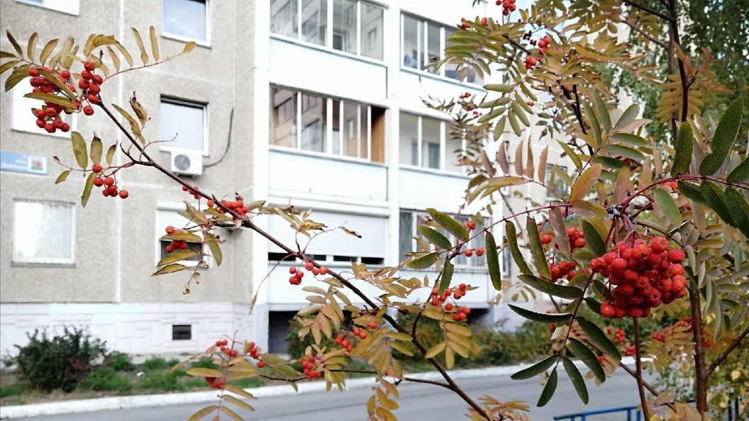    Фото: Царьград.