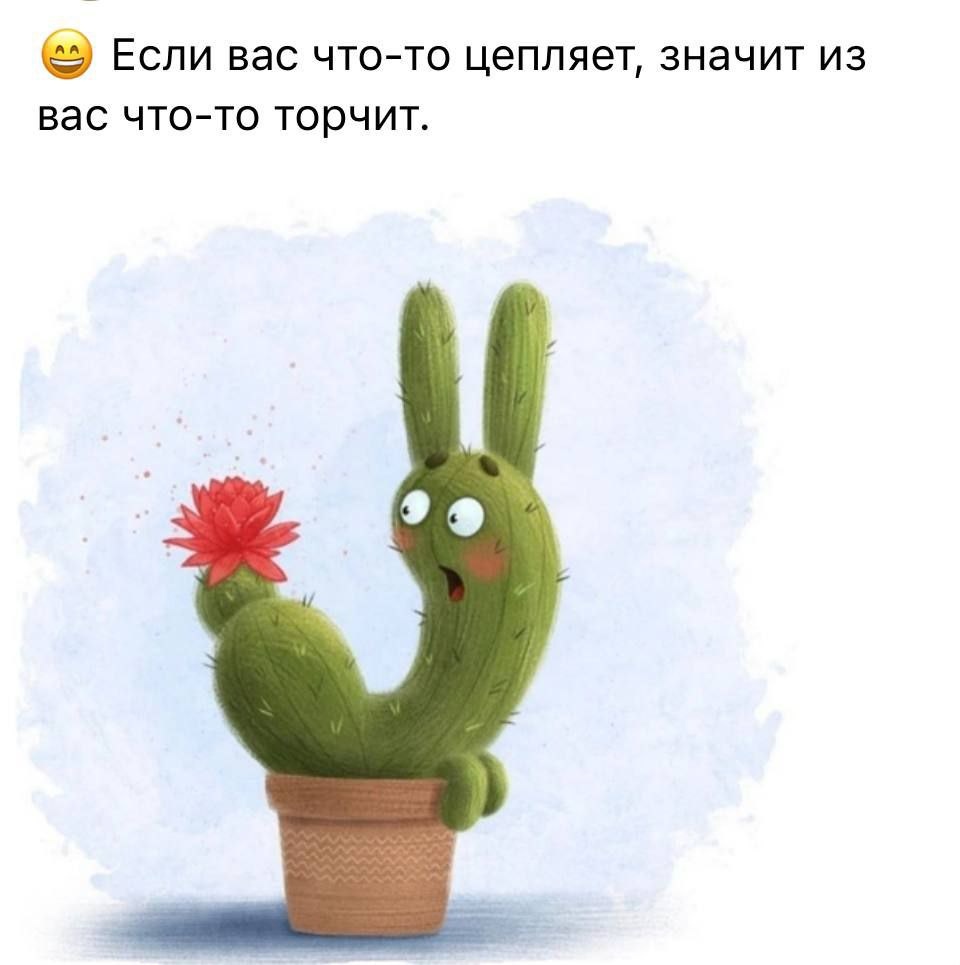 Прислано в личку в ТГ