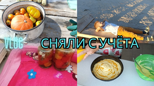 ГОТОВЛЮ ЗАПЕКАНКУ С ТЫКВОЙ👩‍🍳| ПРОГУЛКА В ПАРКЕ🪸| ДВЕ БАНОЧКИ ПОМИДОР НА ЗИМУ🫢| ЛЕТОМ ТОЛСТЕЮ😮‍💨