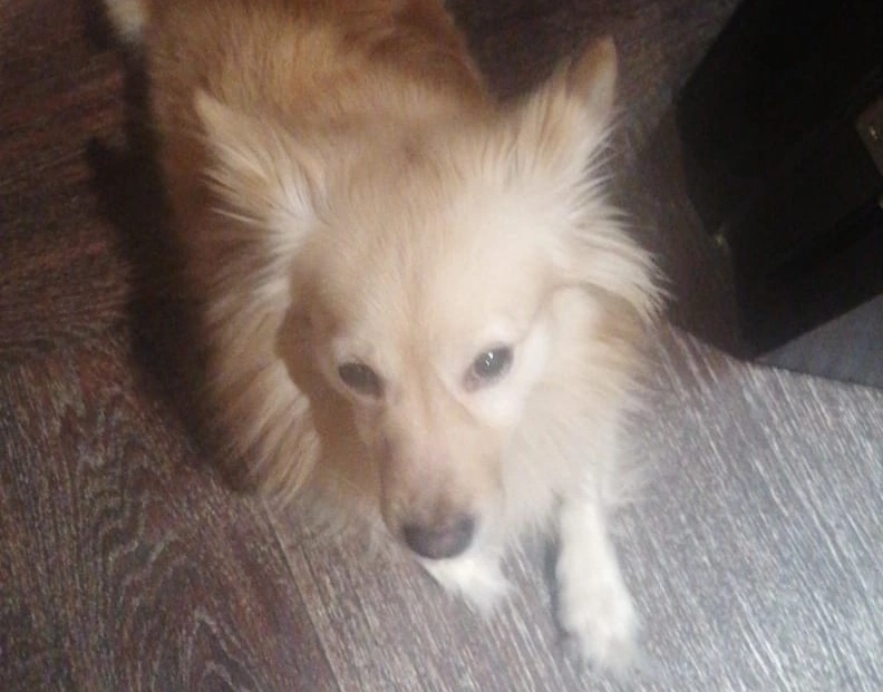    Фото - паблик Хилокский жилмассив ВКонтакте