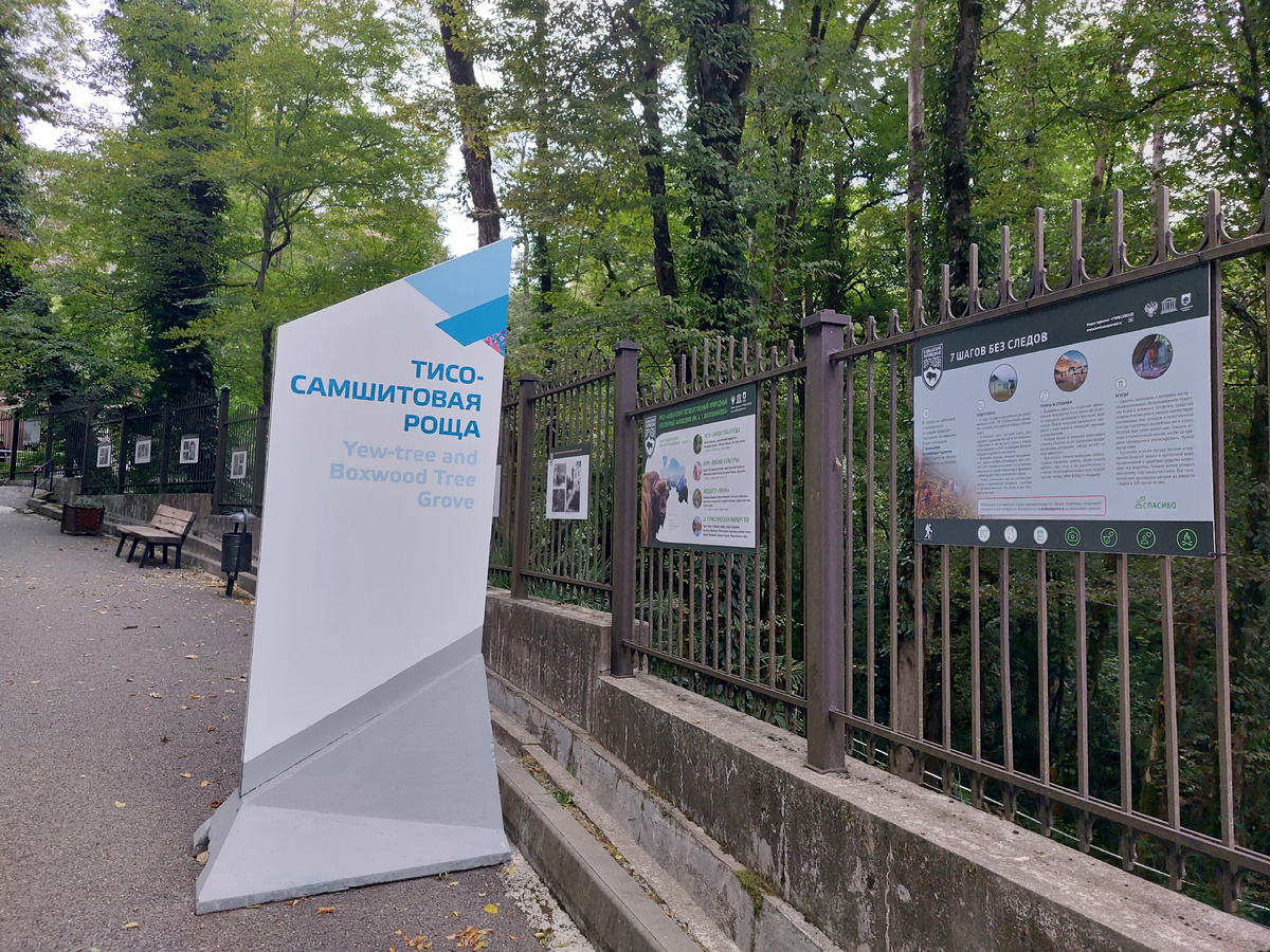 Забегая вперёд, скажу, что полюбоваться получилось только тисами...