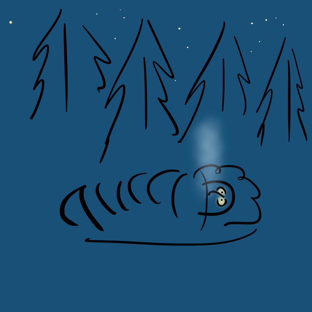 Ночёвка в лесу