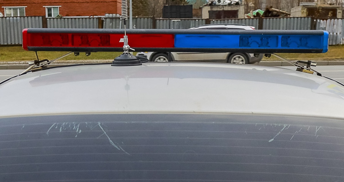    Криминальный авторитет Раджик Нижневартовский найден мертвым в Подмосковье