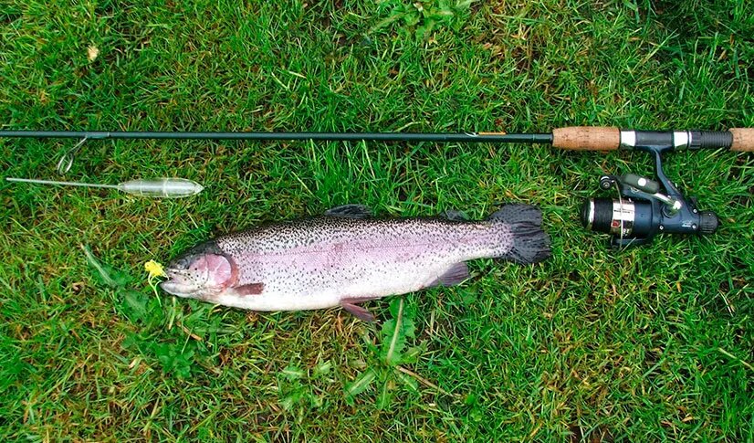 Эта оснастка также незаменима в условиях высокой прозрачности воды, когда рыба хорошо видит всё, что происходит вокруг