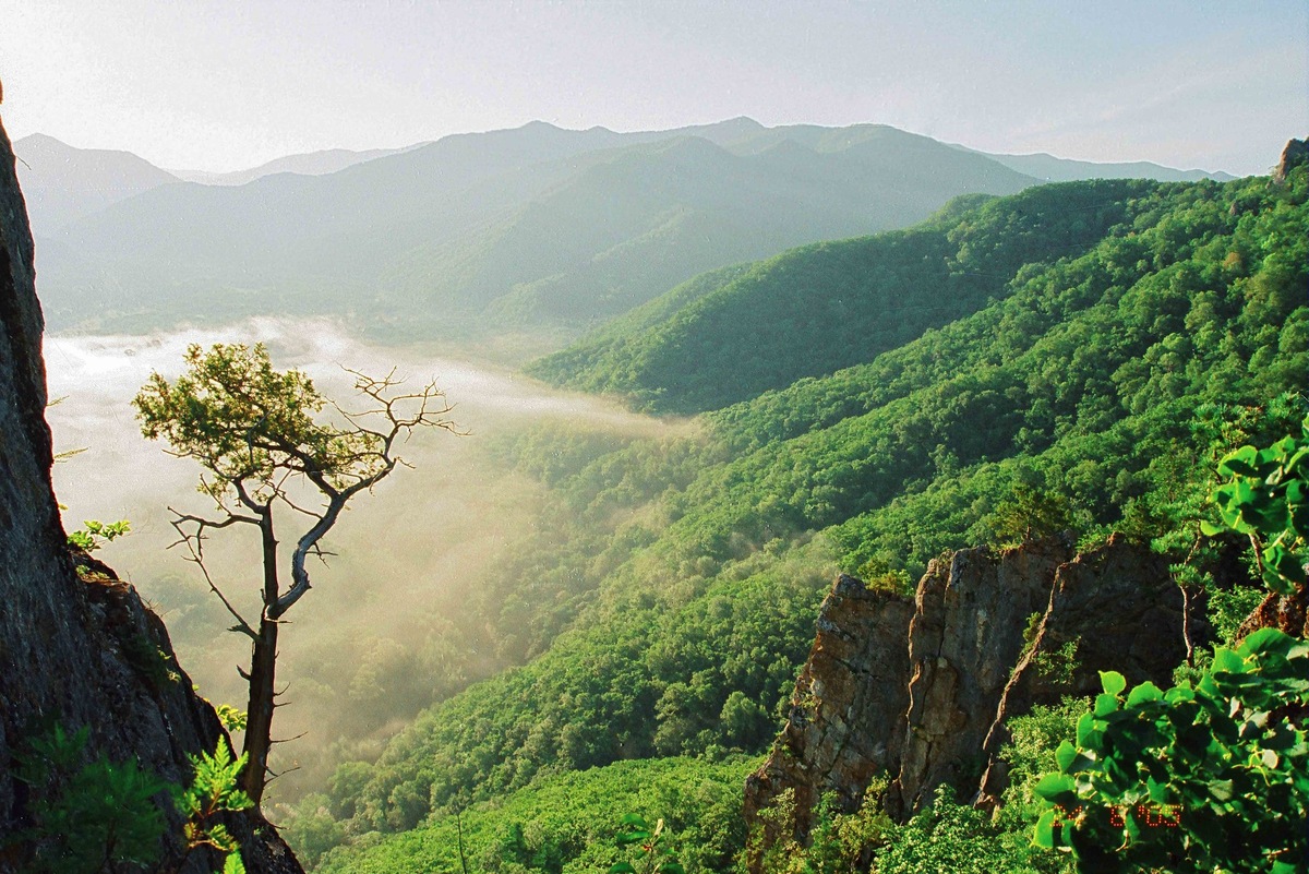 Фото: Яндекс Карты