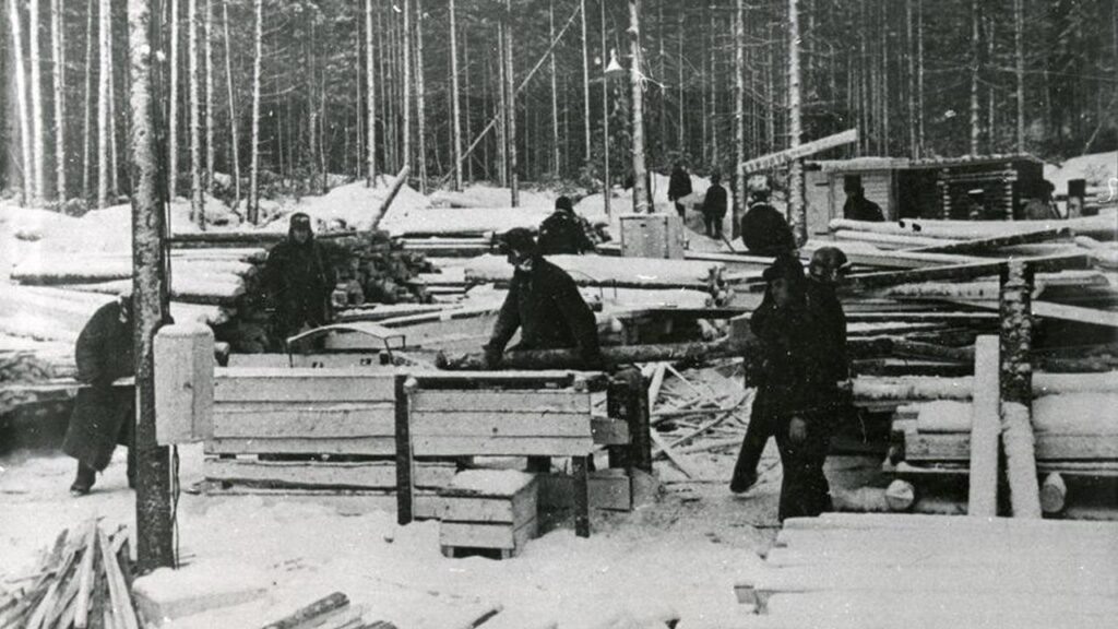 фото: Заготовка леса в ИТЛ в Пермской области