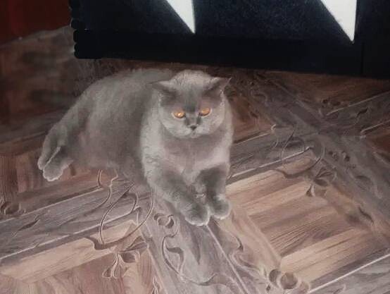 Вот такая красавица стала. 