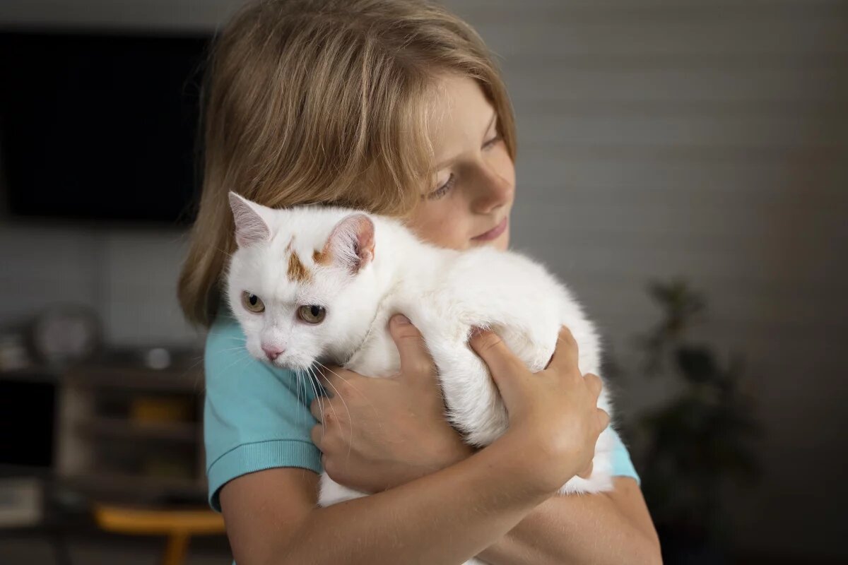    Коты и дети.