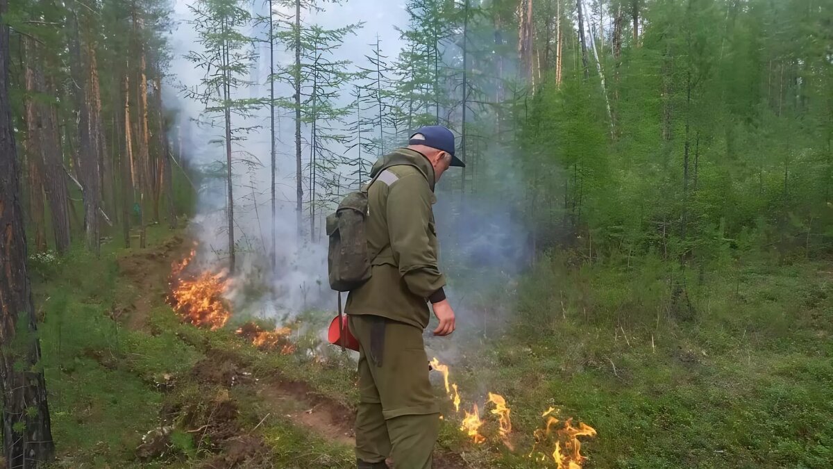     Источник: primorsky.ru