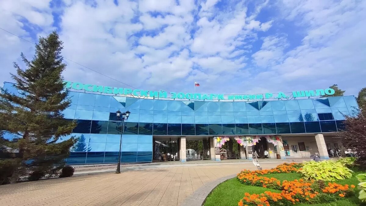     Автор: Алина Гурицкая Источник: atas.info