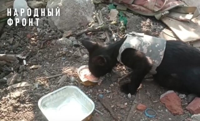    Фото: Народный фронт Челябинская область
