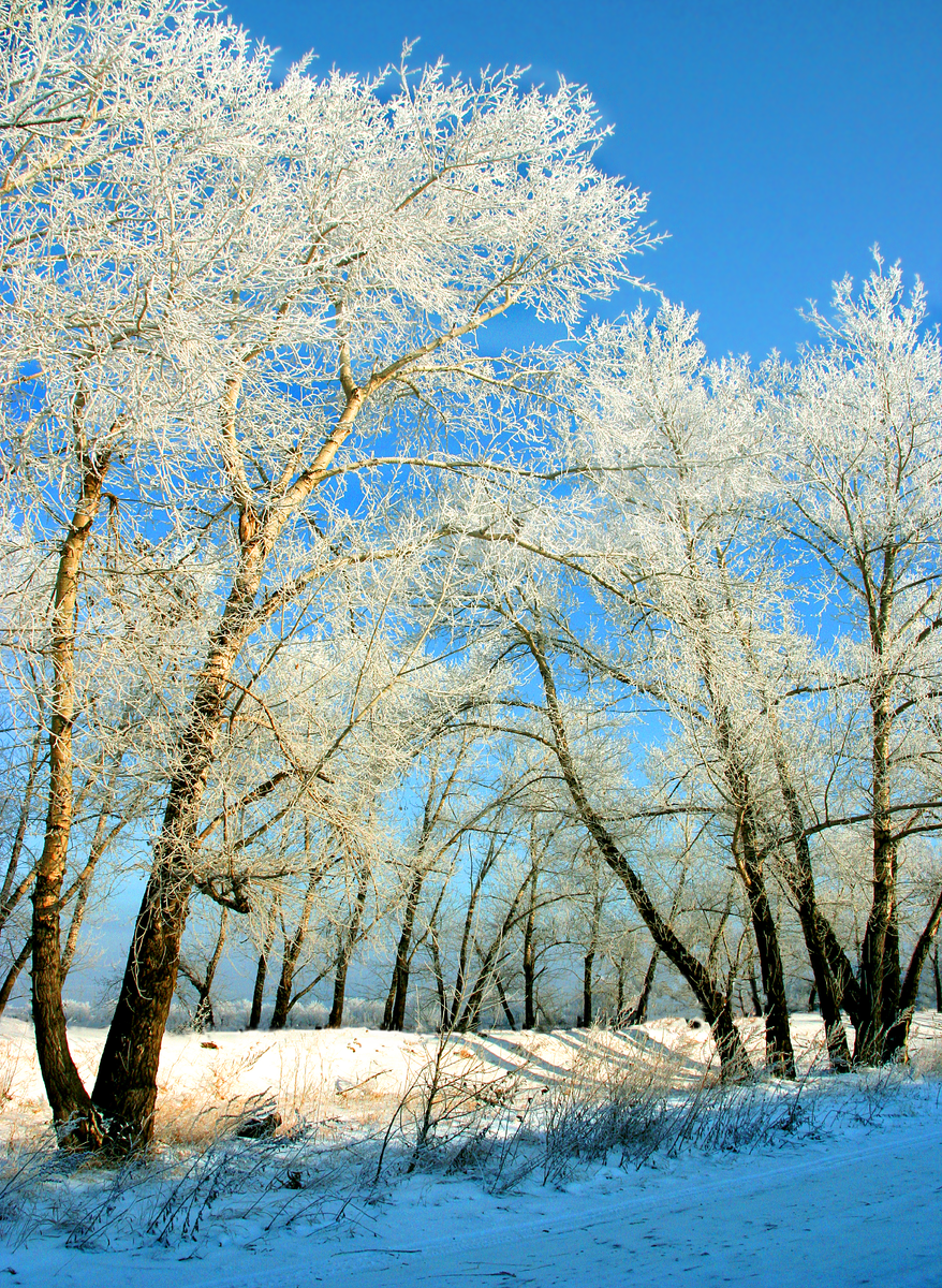 Фотография, стихотворение Василия Глуцкого