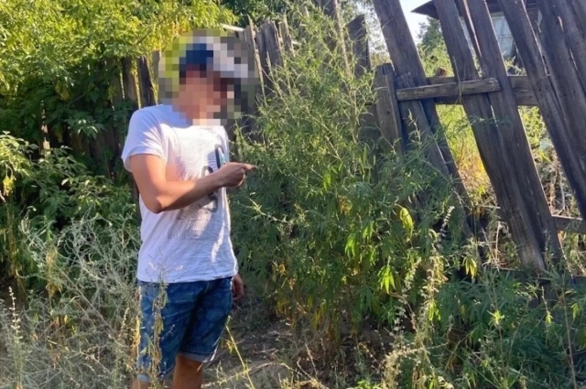    В Волгограде полицейским попался пешеход с коноплей в кармане