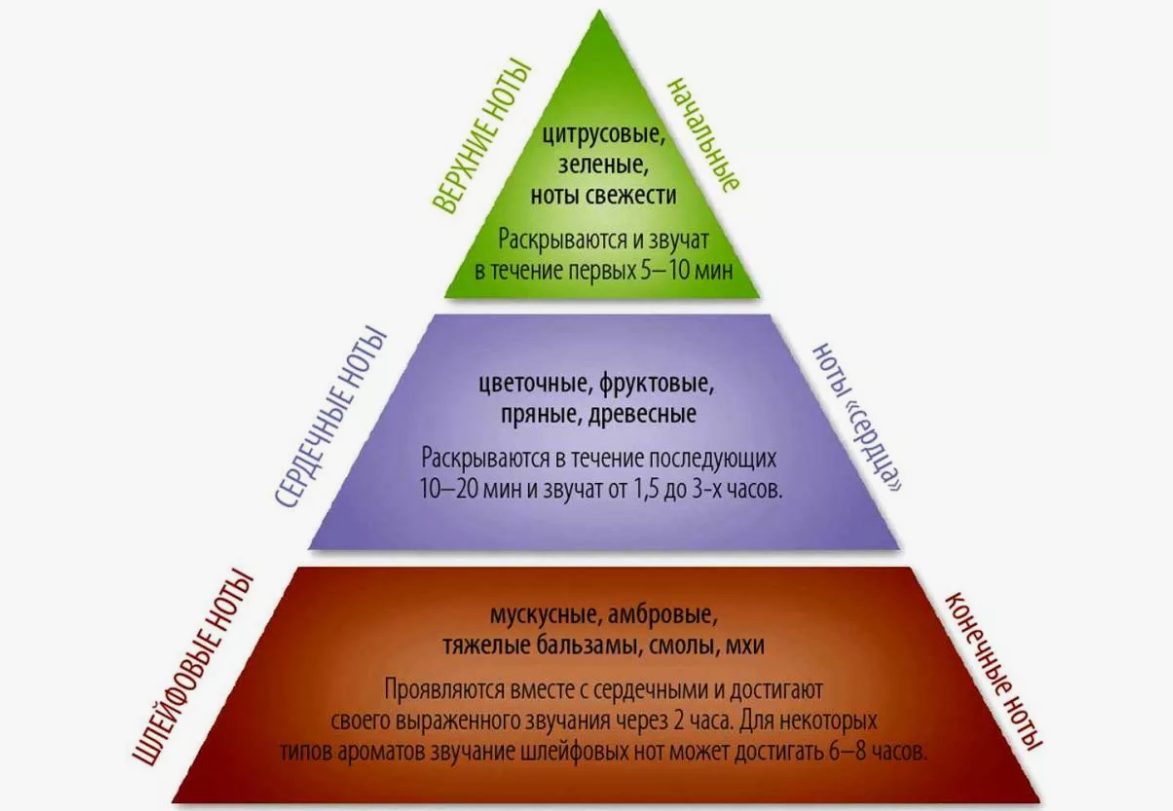 Ноты в парфюмерии