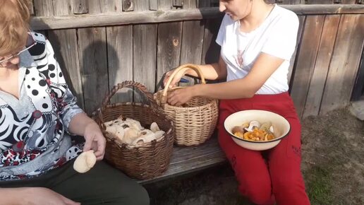 ЕДЕМ В ЛЕС ЗА СОЛОНИНОЙ НА ГРИБНЫЕ ПОЛЯНКИ!🍄🌲🐕ГУЛЯЕМ,ДЫШИМ ВОЗДУХОМ!🌲🌲🌲