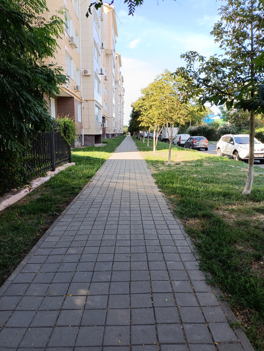 Дорога от остановки