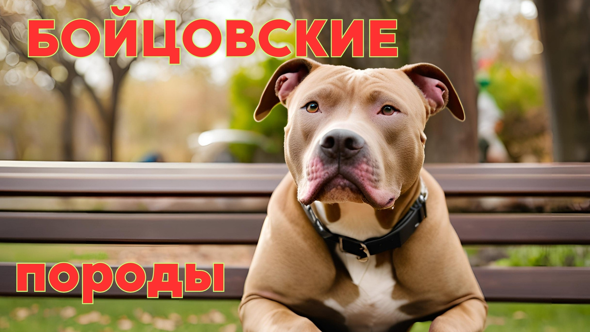 Изображение изготовлено автором