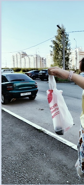 На заднем плане как раз тот новый квартал, а за машинами именно тот газон, где уж решит остаться.