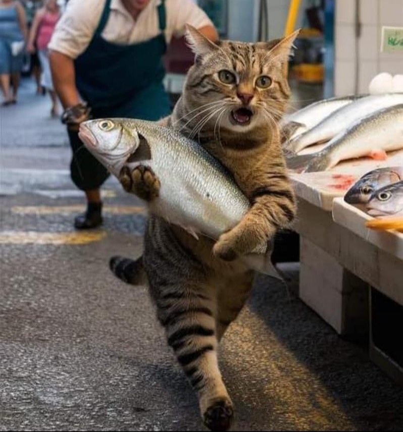 Яндекс картинки