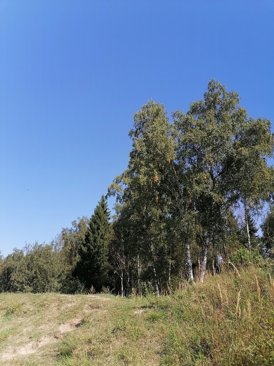 Авторское фото 