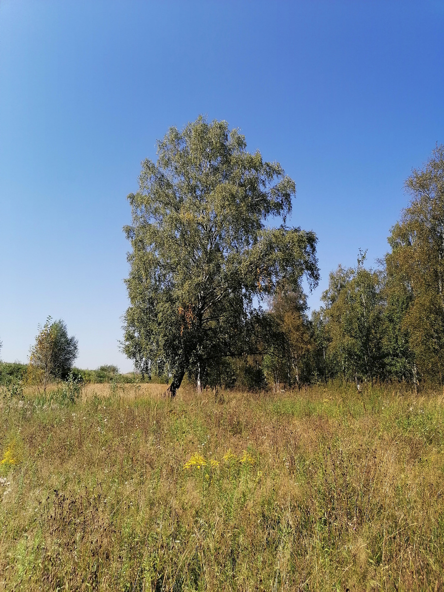 Авторское фото 