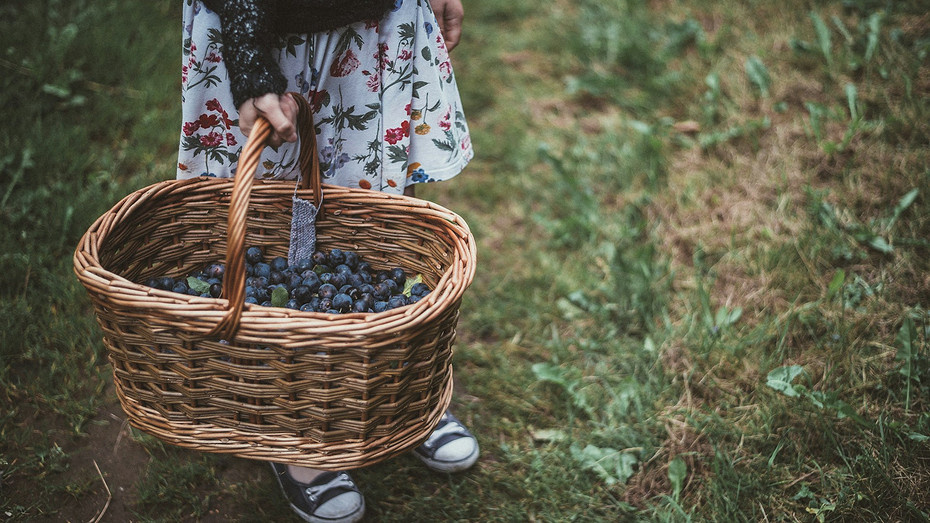     Фото здесь и далее: unsplash.com