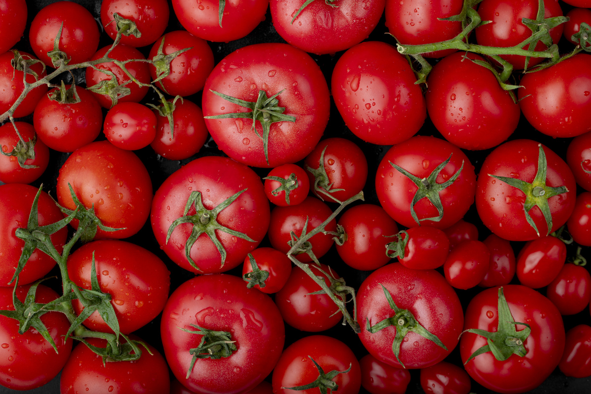 Для иллюстрации.   <a href="https://ru.freepik.com/free-photo/top-view-ripe-fresh-tomatoes-with-water-drops-black-background_7824762.htm#fromView=search&page=1&position=5&uuid=dece31c5-2ca8-4c4c-aeda-96cf04ad2620">Изображение от stockking на Freepik</a>