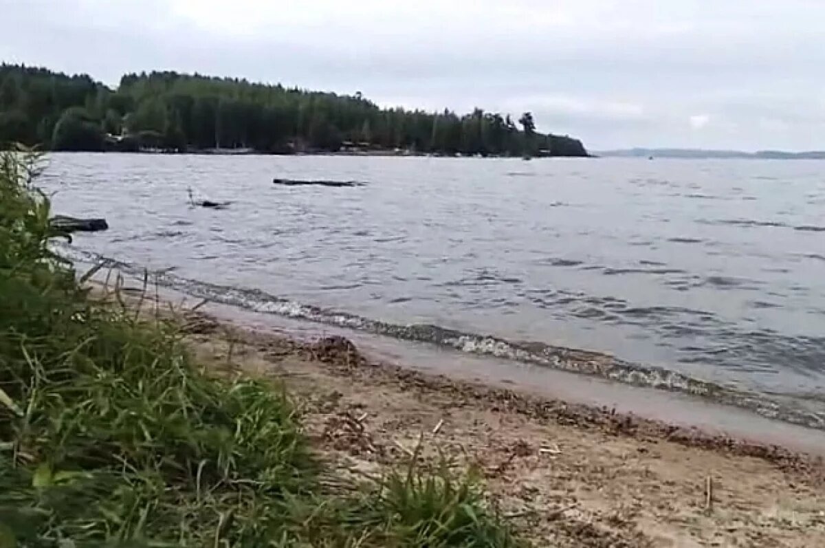    Бастрыкин заинтересовался «захватом прибрежной зоны» в поселке Таватуй