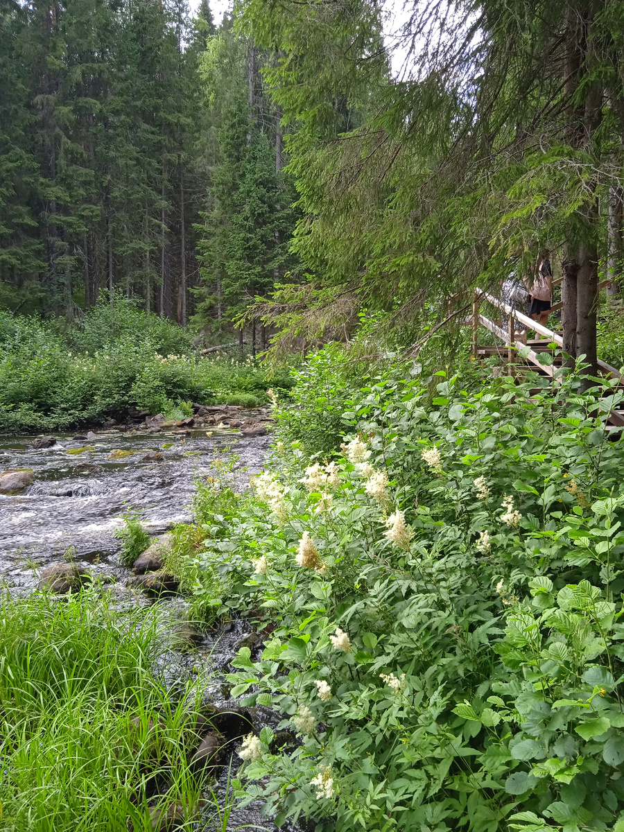 Река Ихаланиоки Карелия. Фото автора.