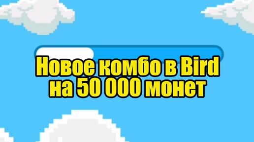 Нова комбо в хомяке